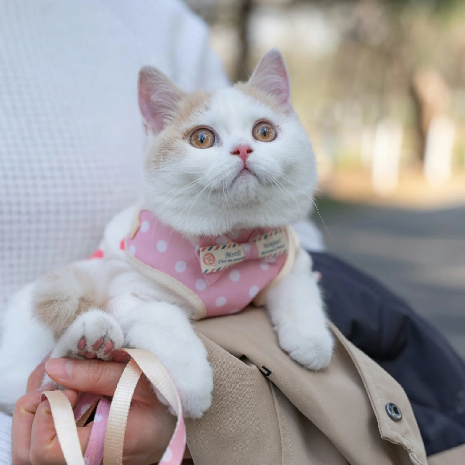 dong-cheng-wTJhPgoMJ-E-unsplash-1536x1536
