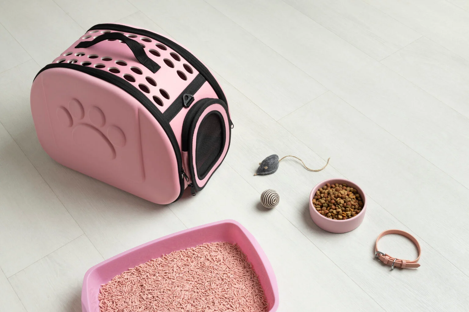 pink-pet-bag-arrangement-1536x1024